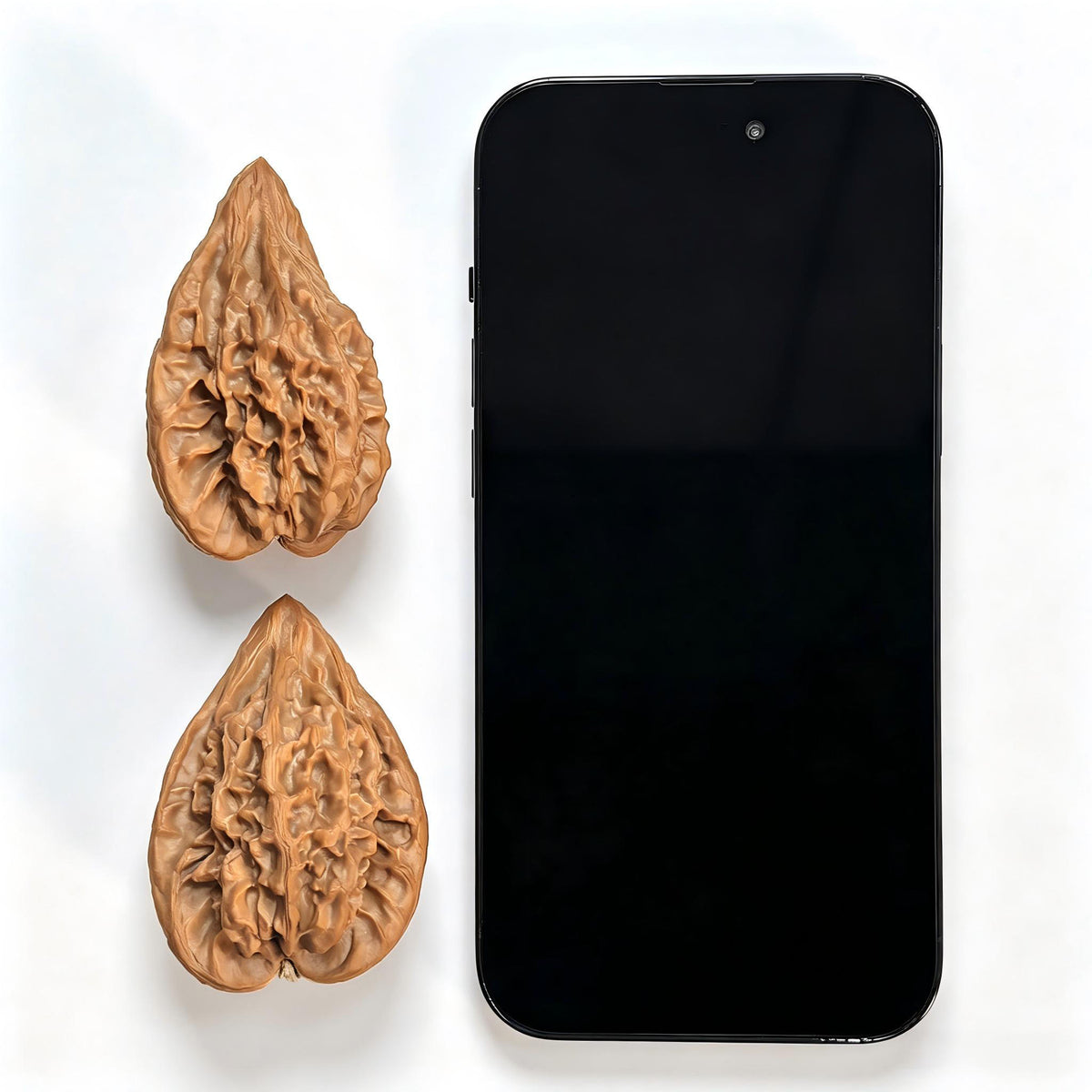 "Red Tasseled Spear" Hongyingqiang HJQ-CWA1E Wenwan Walnuts Pair | 41.0mm x 38.0mm | HJQ-CWA1E