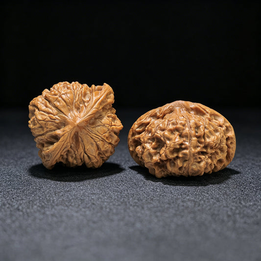 龍鼎矮樁文玩核桃一對 | 55.0毫米 x 50.0毫米 | LD-1552C