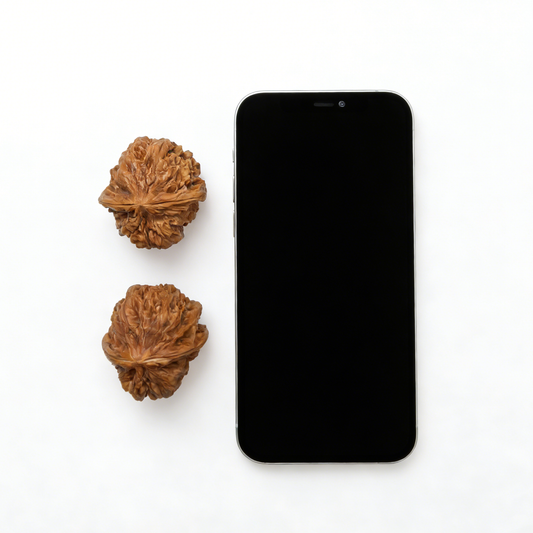 The "Jiu Long Yu" (Nine Dragons Valley) Pair | 40.0mm | JLY-02