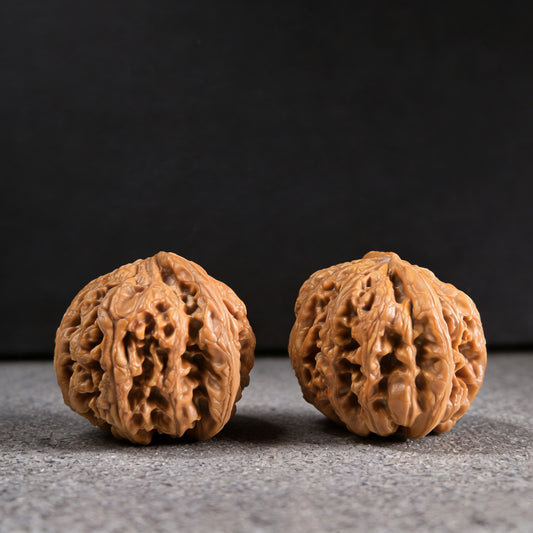 The "Tendon Vein" (Cujin) Pair | 42.0mm | CJ-01