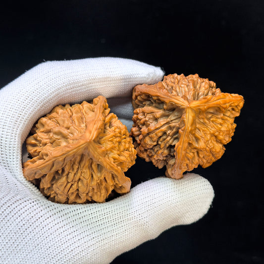 Three-Ribbed Giant Official's Hat (Da Guanmao Sanling) Scholar Walnuts Pair | Perfect 38.0mm x 38.0mm Isometric Profile | Collector Grade Masterpiece | Stock ID: DGMSN-02E