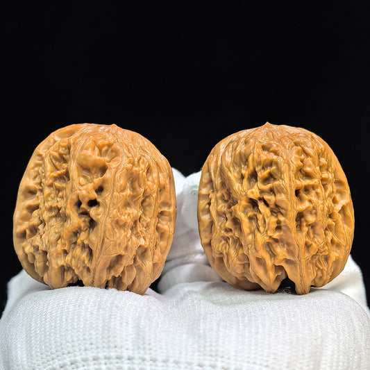 "North China General's Shoulder" Huabei Jiangjunbang Low-Profile Wenwan Walnuts Pair | 37.0mm x 40.0mm | HBJJB-1501C