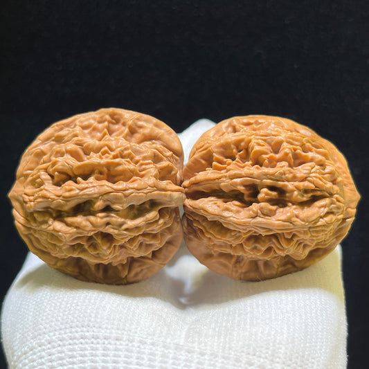 "Wheat Ear Tiger Head" Maisui Hutou Wenwan Walnuts Pair | 40.0mm x 39.0mm | MSHT-1102