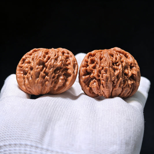 The Rare "White Lion Shun Feng Ear" Half-Wall (Ban Bi) | 43.0mm x 40.0mm | SJSFBB-1202E