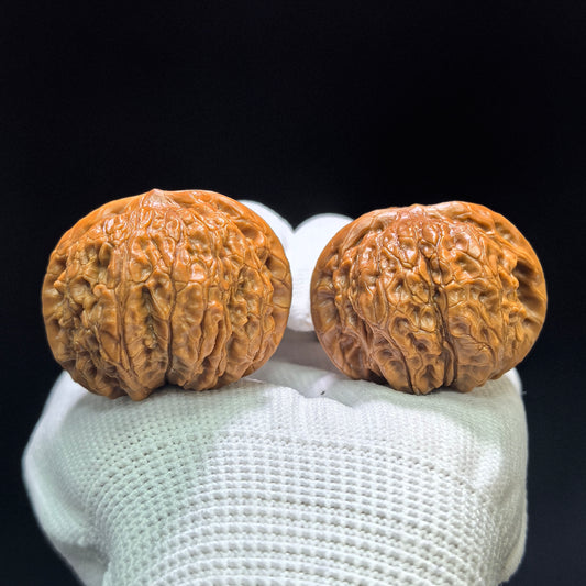 "Blood Qilin" Xue Qilin XQL-1601 Low-Profile Wenwan Walnuts Pair | 38.0mm x 38.0mm | XQL-1601