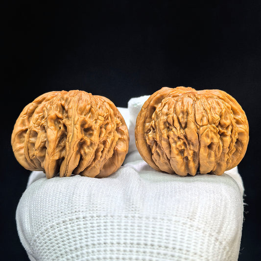 "Huakun Dragon" Huakunlong Low-Profile Wenwan Walnuts Pair | 46.0mm x 44.0mm | HKL-1502C
