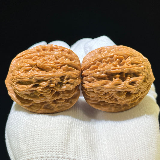 "Wheat Ear Tigerhead" Maisui Hutou Classic Heritage Wenwan Walnuts Pair | 37.0mm x 37.0mm | MSHT-1111