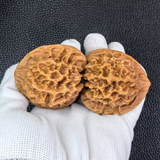 The "Emperor" (Di Wang) Pair | 49.0mm x 45.0mm | DW-301