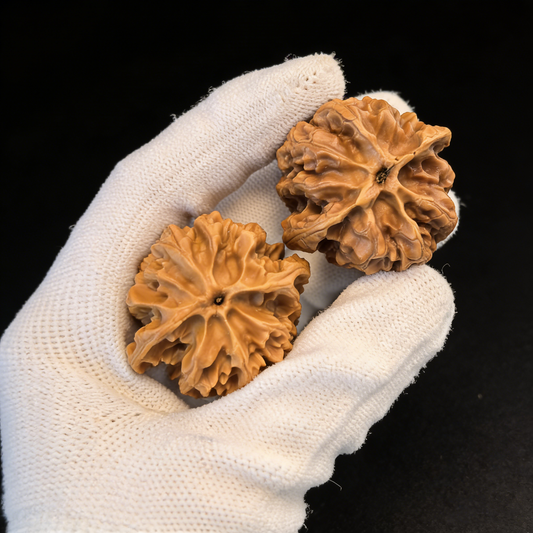 The "Apple Garden" Lion Head – 38mm Classic Round Pair | #AG-11 (Actual Item Pictured)