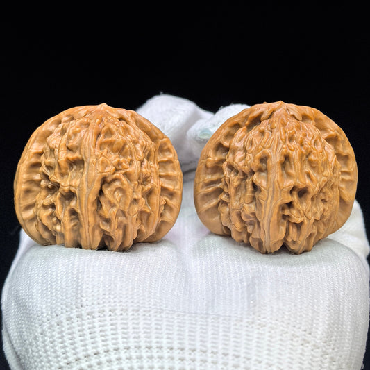 "Spherical White Lionhead" Qiuxing Baishizi QXBSJ-1504C Low-Profile Wenwan Walnuts Pair | 39.0mm x 40.0mm | QXBSJ-1504C