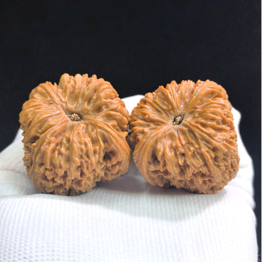 "Nanjiangshi Lionhead" Nanjiangshi NJS-SY1A5 Low-Profile Wenwan Walnuts Pair | 40.0mm x 41.0mm | NJS-SY1A5