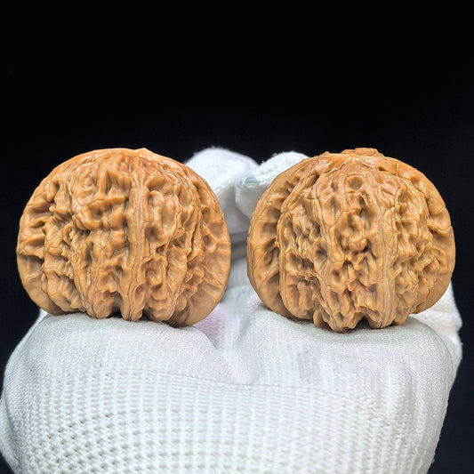 "Spherical White Lion" Qiuxing Baishizi Low-Profile Wenwan Walnuts Pair | 41.0mm x 41.0mm | QXBSJ-1502C
