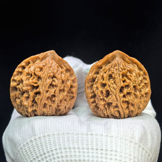 "Spherical Water Dragon Texture" Qiuxing Shuilongwen Low-Profile Wenwan Walnuts Pair | 37.0mm x 37.0mm | SLW-1503C