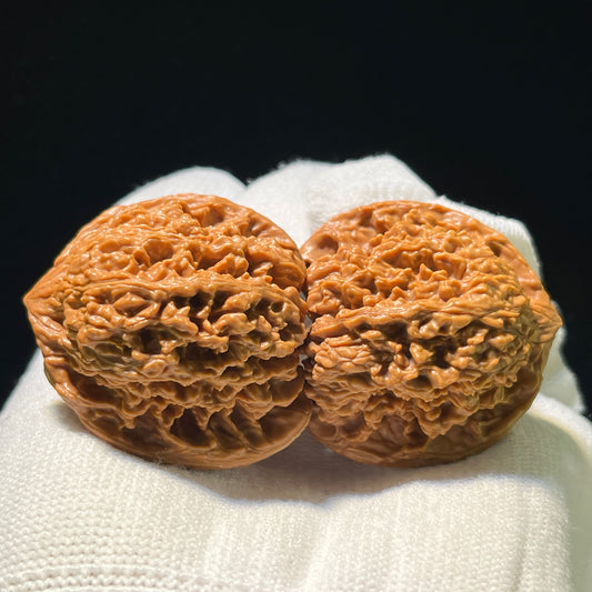 "Starry Sky" Mantianxing Wenwan Walnuts Pair | 37.0mm x 36.0mm | MTX-1105