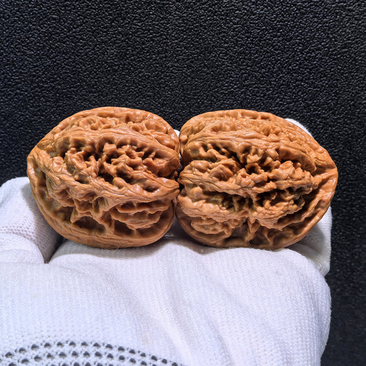 The "Large Thick Ridge" (Da Cu Jin) Pair | 40.0mm x 41.0mm | CJ-402