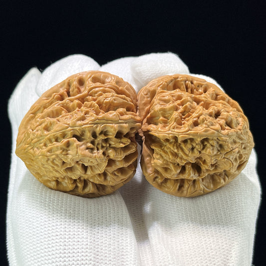 The "Blizzard" (Bao Xue) Ergonomic Giant Pair | 42.0mm x 40.0mm | BX-804