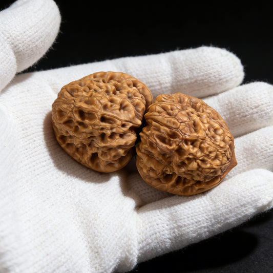 The "Dreaming of Roundness" (Tuanyuan) Pair | 34.0mm | TY-101