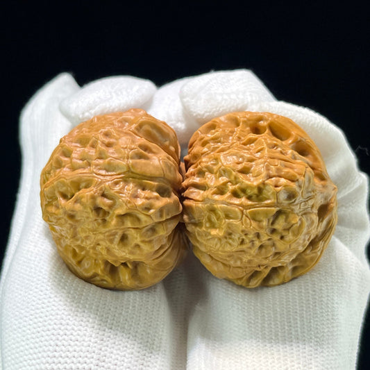 The "Squat Pumpkin" (Nan Gua Dun) Deep-Bellied Hand-Stimulator | 40.0mm x 43.0mm | NGD-804