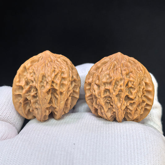 "Timber Wolf" (Xiao Ye Lang) Scholar Walnuts Pair | 36.0mm x 34.0mm | Compact Low-Profile Stance | Stock ID: YL-SY1B2