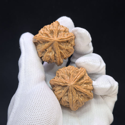 Kaiserliches Jadesiegel X-Men Yuxi Sileng X-Zhanjing Vierschenkliche Wenwan-Walnusspaarung | 36,0 mm x 38,0 mm | YSFN-C2210E