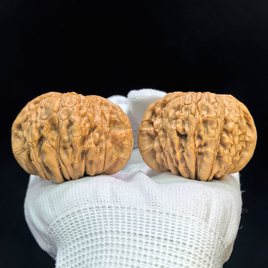"Huakun Dragon" Huakunlong Low-Profile Wenwan Walnuts Pair | 50.0mm x 50.0mm | HKL-1504C