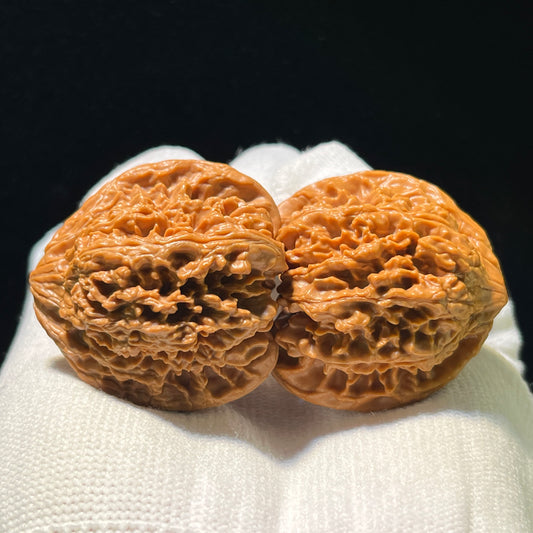 Man Tian Xing (Sky Full of Stars) Scholar Walnuts Pair | 38.0mm x 34.0mm | Stock ID: MTX-1104