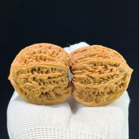 The "Coiled Dragon Pattern" (Panlongwen) Premium Low-Profile Pair | 45.0mm x 35.0mm | Classic Ingot Posture | PLW-1001