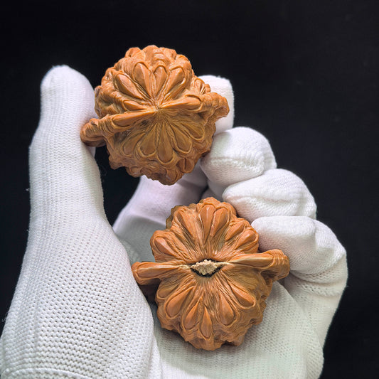 Master Li Fengguang Hand-Carved "Devouring Lion" White Lion Head (Bai Shi Zi) Scholar Walnuts Pair | Grand 44.0mm x 41.0mm | Ultimate Collector Grade Masterpiece | Stock ID: BSZTSDK-CG213E
