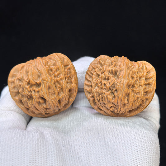 "Heart-Shaped Concave Base White Lion" Aodi Xinxing Baishizi Low-Profile Wenwan Walnuts Pair | 38.0mm x 37.0mm | BSJ-SY1F2