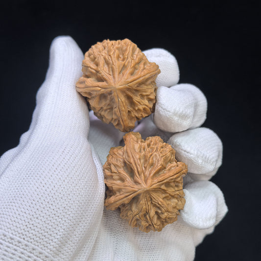 Kaiserliches Jadesiegel Dreiribben Yuxi Sanleng Mehrrippen-Wenwan-Walnusspaar | 34,0 mm x 37,0 mm | YSSN-C225E