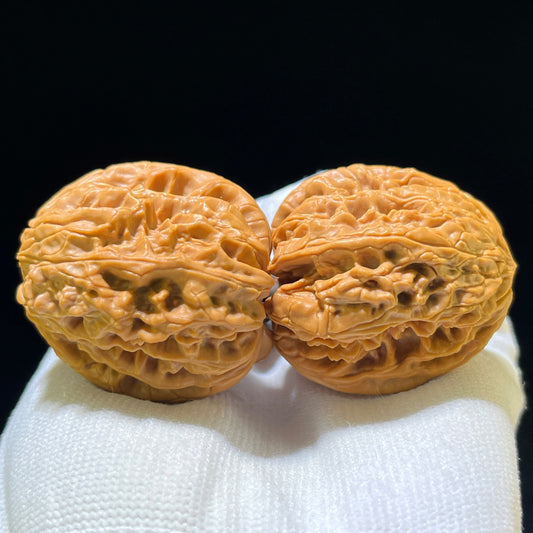 "Blizzard" Mantianxing Blizzard Variety Wenwan Walnuts Pair | 37.0mm x 41.0mm | BX-1109