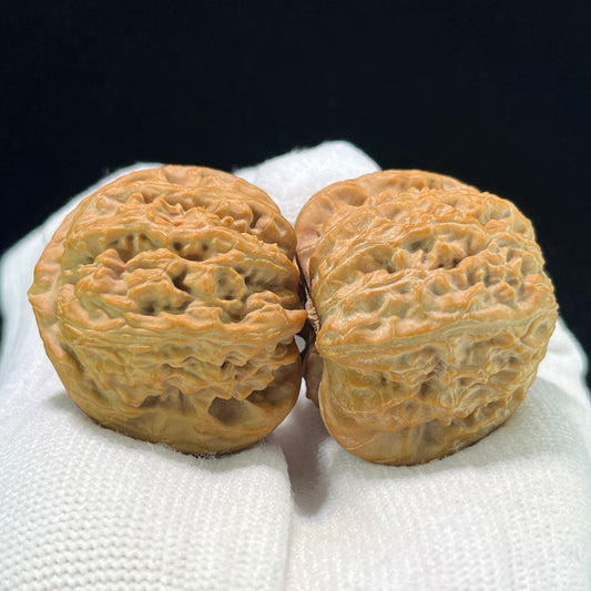 The "Triangle White Lion" (San Jiao Bai Shi Zi) Rare Mutation Pair | 37.0mm x 35.0mm | Compact Shou Nian Format | SJBSZ-1002