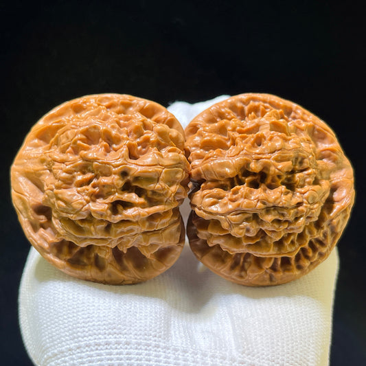 Guanmao (Official Hat) Scholar Walnuts Pair | Grand 51.0mm x 45.0mm | Stock ID: DGM-1101
