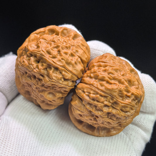 "Concave Base Pumpkin Dun" Aodi Nanguadun BDNGD-17G5 Low-Profile Wenwan Walnuts Pair | 43.0mm x 43.0mm | BDNGD-17G5