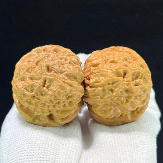 The "Ancient Pumpkin Ingot" (Nan Gua Dun) Choice Deep-Belly Pair | 41.0mm x 44.0mm | Heavy-Volume Shou Nian Format | NGD-1004
