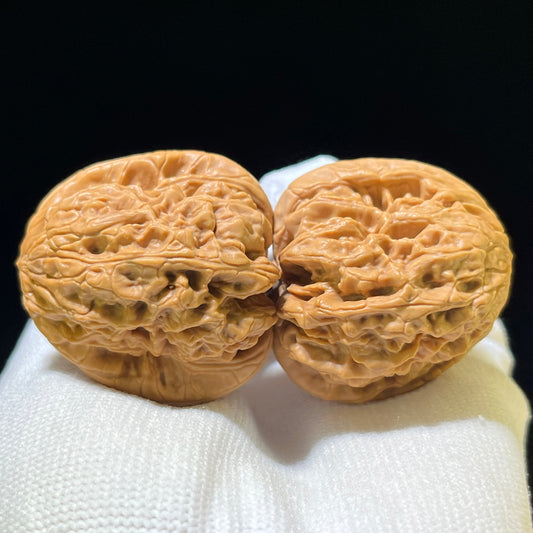 The Spectacular "Blizzard" Baixue Collector Pair | 37.0mm x 38.0mm | BX-1106