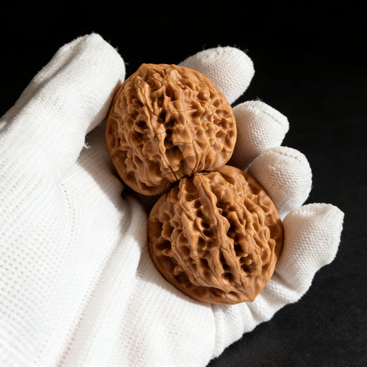 The "Qi Bu Gou" Pair | 38.0mm x 37.0mm | QBG-01