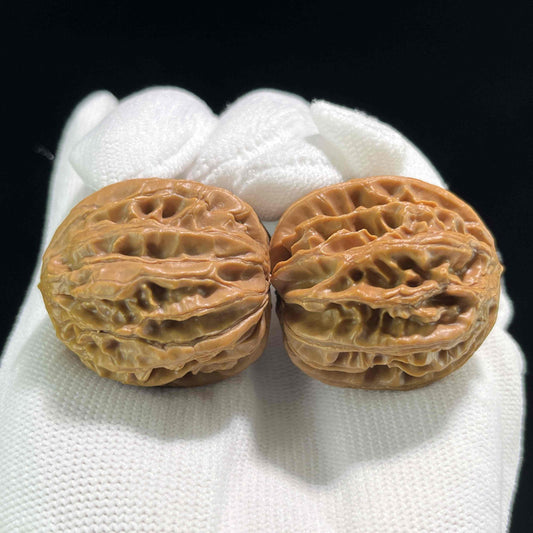 The Petit "Coiling Dragon" (Pan Long Wen) Full-Bellied Pair | 33.0mm x 35.0mm | PLW-705