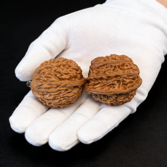 The "Soulmates" Pendant Pair – Half-Wall Walnuts (Ready-to-Wear Jewelry) | #PD-26 (Actual Item Pictured)