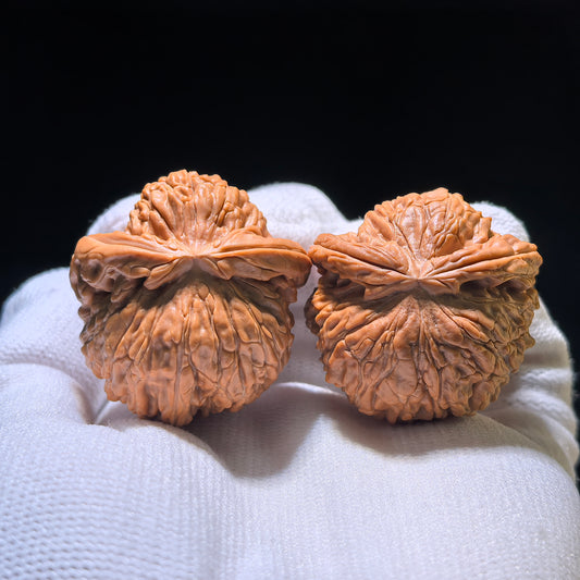 The Rare "Flying Snake" Lion Head (Fei She) Matched Pair | 34.0mm x 37.0mm | FSST-1201E