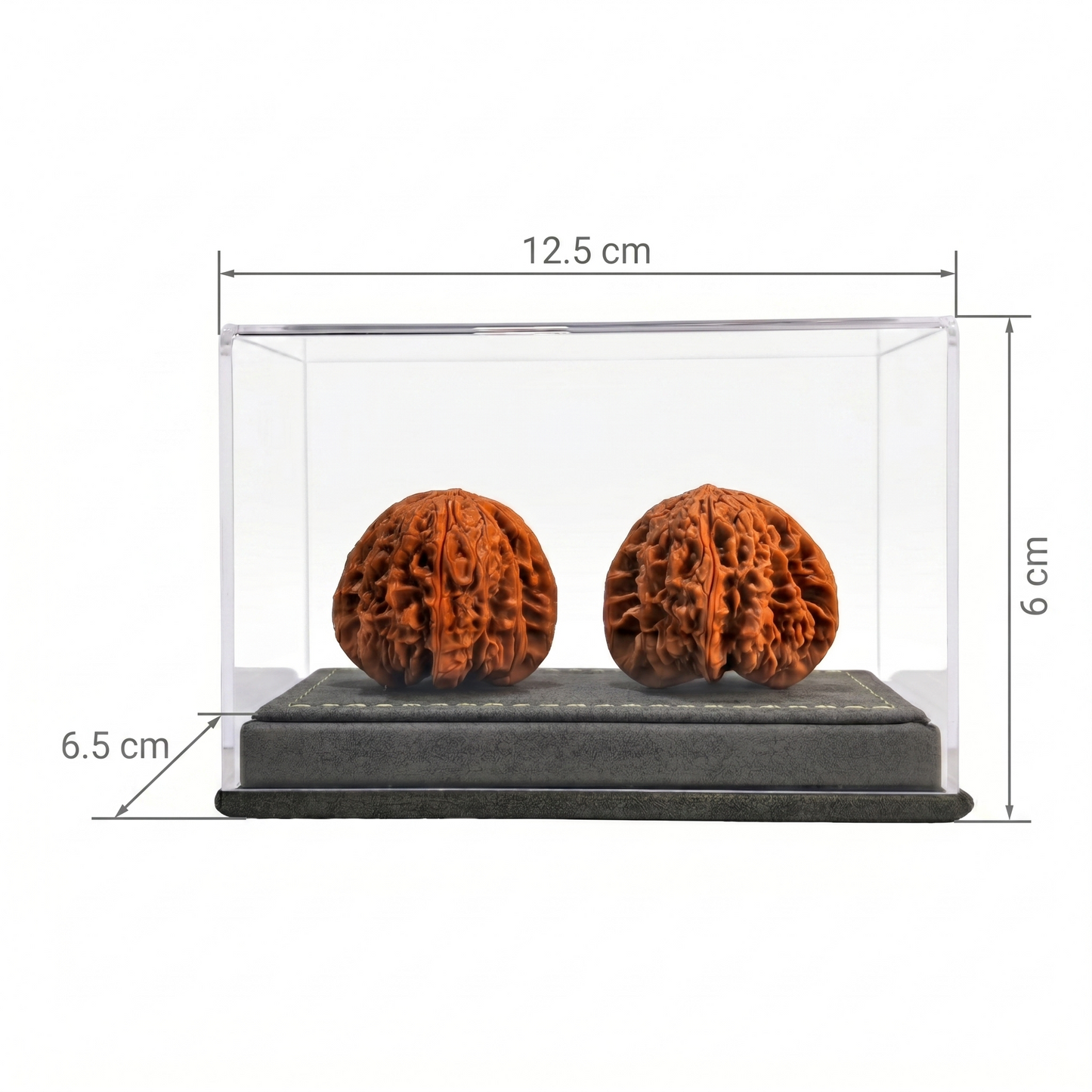 Staubdichte Doppelvitrine aus Walnussholz mit grauem Wildlederboden – Acrylglas mit hoher Transparenz