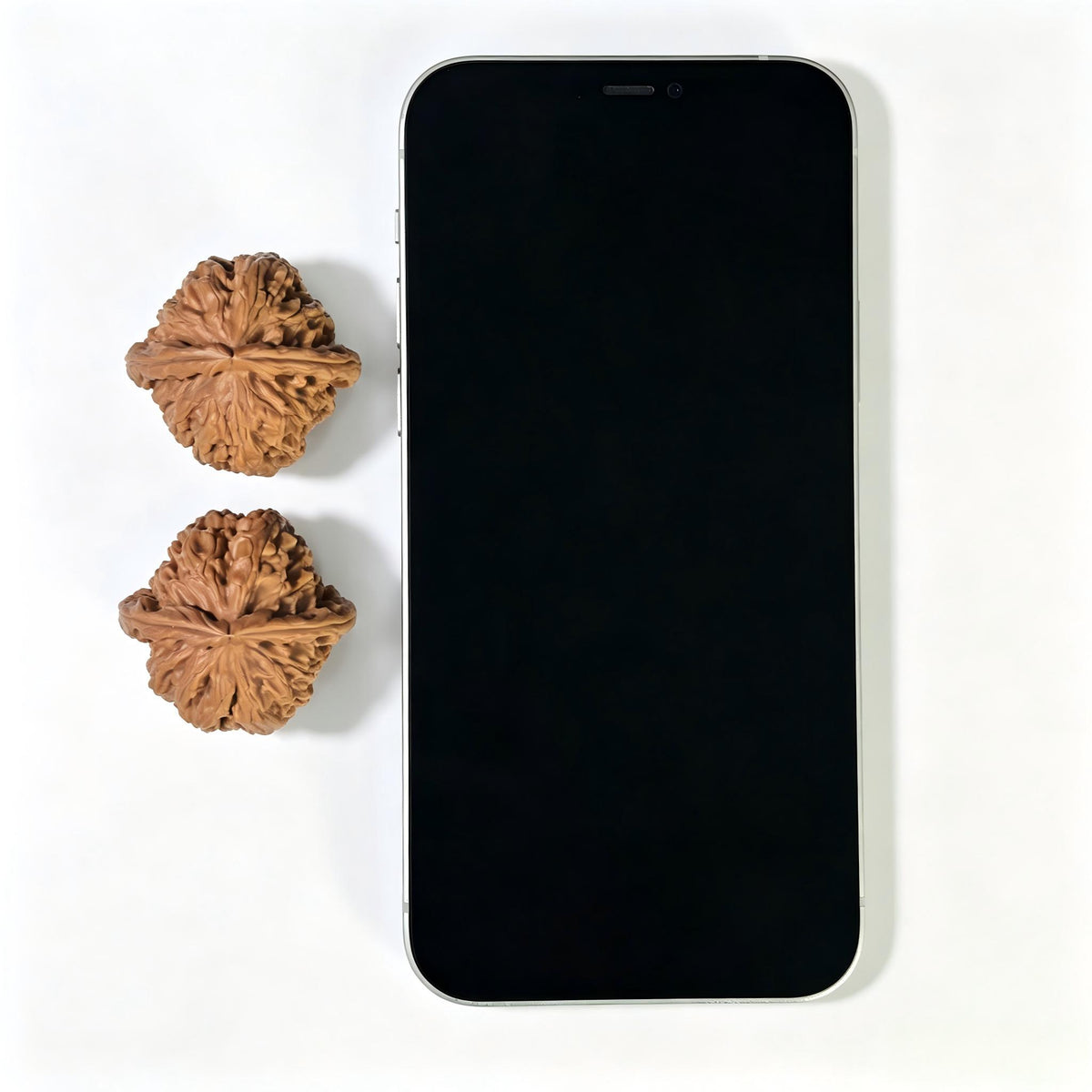 "Triangular Peach Heart White Lionhead" Sanjiao Taoxin Baishizi Low-Profile Wenwan Walnuts Pair | BSZ-1609