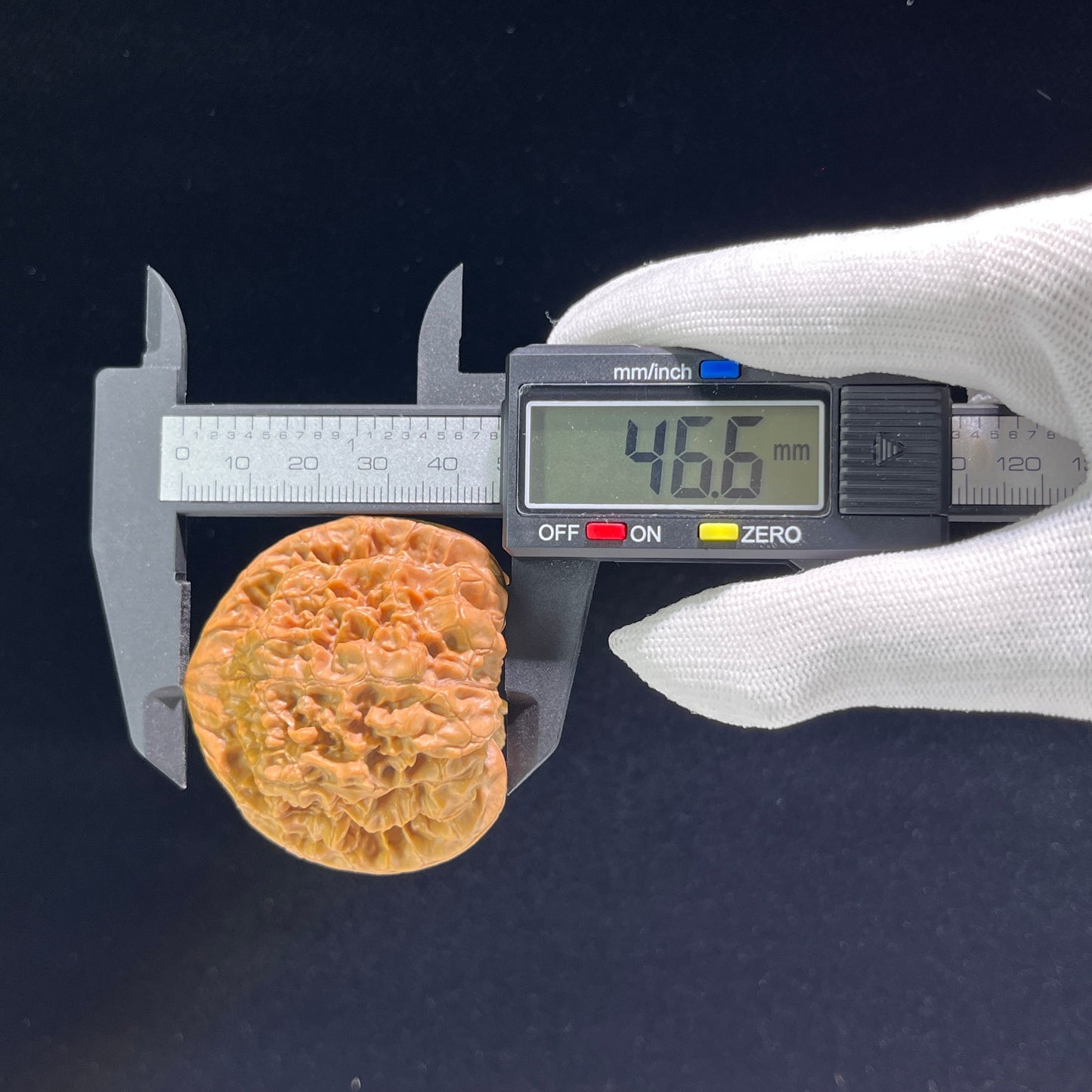 Das „Beamtenhut“ (Da Guan Mao) Museum-Grade Ultra-Giant | 50.0mm x 41.0mm | DGM-802
