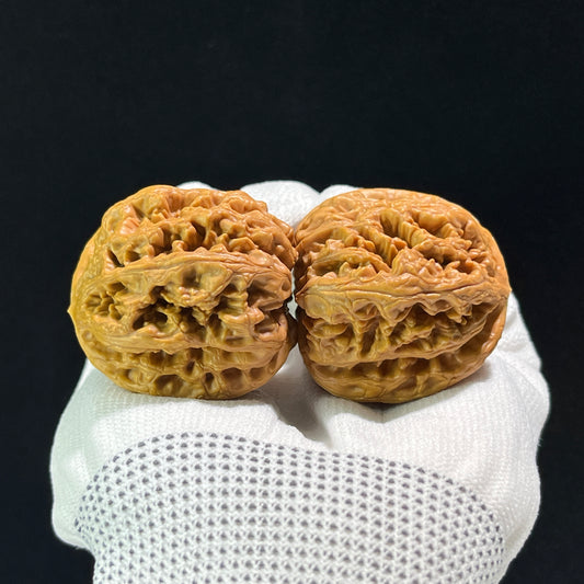 The "Thick Ridge" (Da Cu Jin) Lion's Head Pair | 41.0mm x 44.0mm | CJ-602