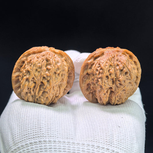 "Blood Kylin" Xueqilin Wenwan Walnuts (Pair) | 38.0mm x 39.0mm | Stock ID: XQL-1401 - ThePatinaProject