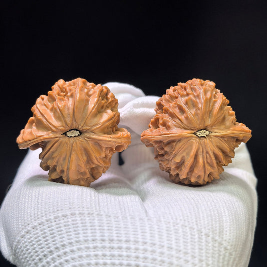 "Butterfly Millstone" Hudie Mopan MP-1403 Low-Profile Wenwan Walnuts Pair | 38.0mm x 38.0mm | MP-1403 - ThePatinaProject