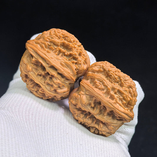 Compact Layered-Ridge “Caterpillar” Wenwan Walnut Pair — 31.0mm x 36.0mm | MMC-SY1D1 - ThePatinaProject