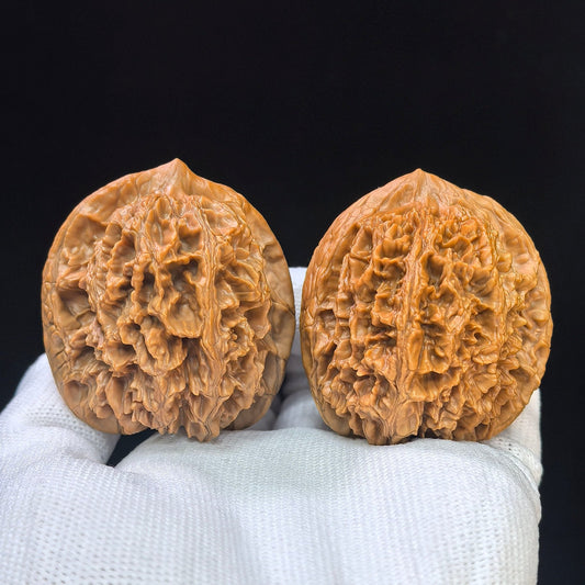 "Da Ci" Big Spine DC-1101 Collector Lineage Wenwan Walnuts Pair | 45.0mm x 45.0mm | Stock ID: DC-1101 - ThePatinaProject