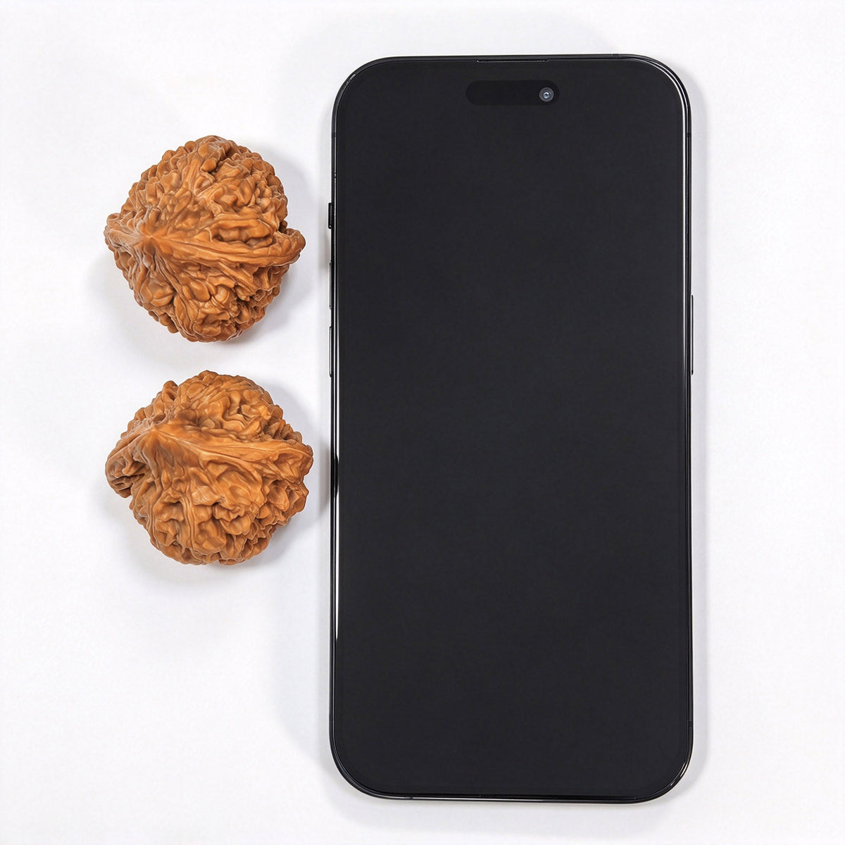 Dagu Stone Wenwan Walnuts Pair | Deep Natural Texture | 38.0mm × 40.0mm | DGS-CWC2E - ThePatinaProject