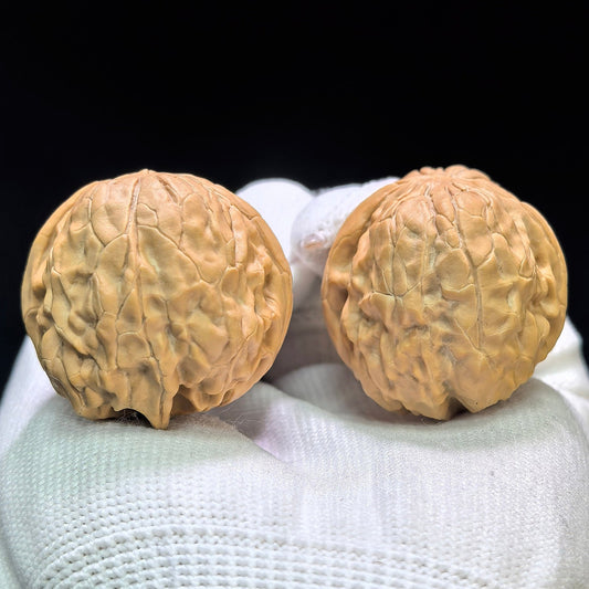 "Golden Toad Vessel" Jinchanzun JCZ-1602 Low-Profile Wenwan Walnuts Pair | 35.0mm x 38.0mm | JCZ-1602 - ThePatinaProject